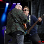 Zeeltje Rock 2025: Paul Quinn & the Cards
